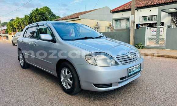 Comprar Usado Toyota Runx Branco Carro em Bela Vista em Maputo