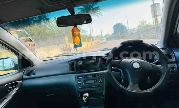 Comprar Usado Toyota Runx Branco Carro em Bela Vista em Maputo Comprar Usado Toyota Runx Branco Carro em Bela Vista em Maputo