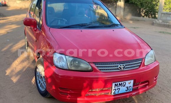Comprar Usado Toyota Spacio Vermelho Carro em Maputo em Maputo
