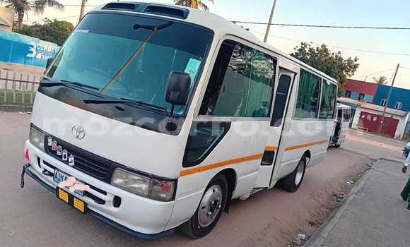 Tenga Tsaru Toyota Coaster Chena Mota in Maputo in Maputo Tenga Tsaru Toyota Coaster Chena Mota in Maputo in Maputo