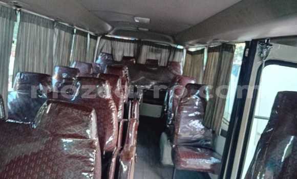 Tenga Tsaru Toyota Coaster Chena Mota in Maputo in Maputo Tenga Tsaru Toyota Coaster Chena Mota in Maputo in Maputo