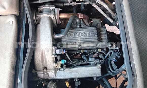 Tenga Tsaru Toyota Coaster Chena Mota in Maputo in Maputo Tenga Tsaru Toyota Coaster Chena Mota in Maputo in Maputo