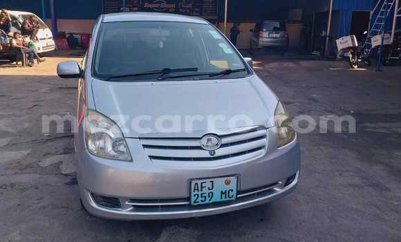 Buy Used Toyota Spacio Other Car in Maputo in Maputo