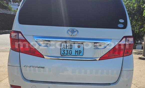 Tenga Tsaru Toyota Vellfire Chena Mota in Maputo in Maputo Tenga Tsaru Toyota Vellfire Chena Mota in Maputo in Maputo