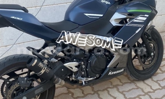 Buy Used Kawasaki Ninja Silver Bike in Maputo in Maputo