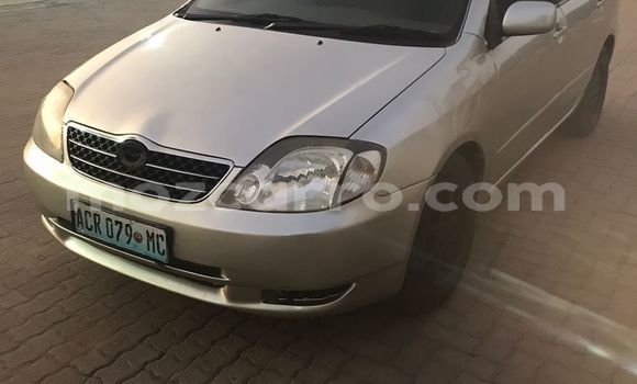 Tenga Tsaru Toyota Corolla Zvimwe Mota in Maputo in Maputo