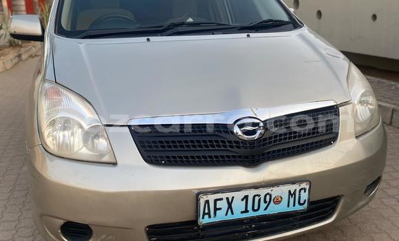 Buy Used Toyota Spacio Other Car in Maputo in Maputo