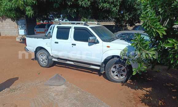 Comprar Usado Nissan Hardbody Branco Carro em Maputo em Maputo Comprar Usado Nissan Hardbody Branco Carro em Maputo em Maputo