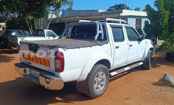 Tenga Tsaru Nissan Hardbody Chena Mota in Maputo in Maputo Tenga Tsaru Nissan Hardbody Chena Mota in Maputo in Maputo