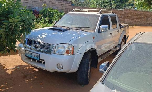 Tenga Tsaru Nissan Hardbody Chena Mota in Maputo in Maputo Tenga Tsaru Nissan Hardbody Chena Mota in Maputo in Maputo