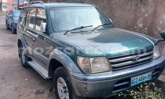 Tenga Tsaru Toyota Land Cruiser Prado Nhema Mota in Maputo in Maputo Tenga Tsaru Toyota Land Cruiser Prado Nhema Mota in Maputo in Maputo