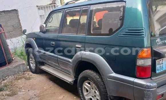 Tenga Tsaru Toyota Land Cruiser Prado Nhema Mota in Maputo in Maputo Tenga Tsaru Toyota Land Cruiser Prado Nhema Mota in Maputo in Maputo