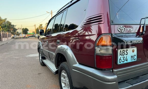 Tenga Tsaru Toyota Land Cruiser Prado Tsvuku Mota in Maputo in Maputo Tenga Tsaru Toyota Land Cruiser Prado Tsvuku Mota in Maputo in Maputo