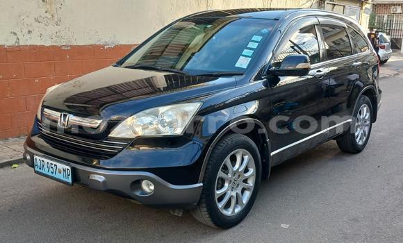 Tenga Tsaru Honda CR-V Nhema Mota in Maputo in Maputo Tenga Tsaru Honda CR-V Nhema Mota in Maputo in Maputo