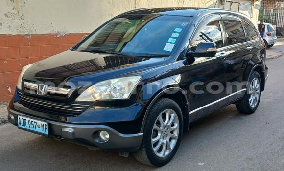 Tenga Tsaru Honda CR-V Nhema Mota in Maputo in Maputo Tenga Tsaru Honda CR-V Nhema Mota in Maputo in Maputo