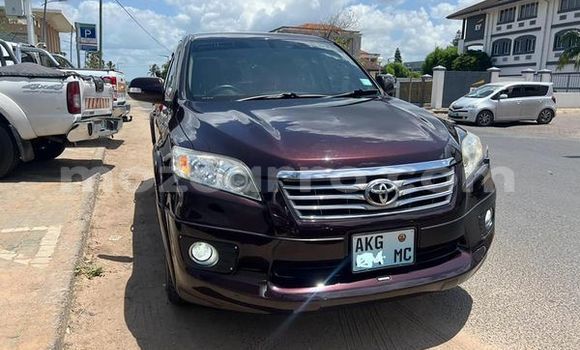 Tenga Tsaru Toyota Avanza Zvimwe Mota in Maputo in Maputo Tenga Tsaru Toyota Avanza Zvimwe Mota in Maputo in Maputo