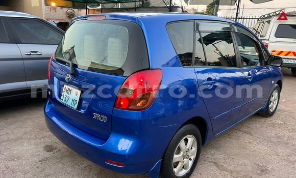 Nunua Ilio tumika Toyota Spacio Bluu Gari ndani ya Maputo nchini Maputo Nunua Ilio tumika Toyota Spacio Bluu Gari ndani ya Maputo nchini Maputo