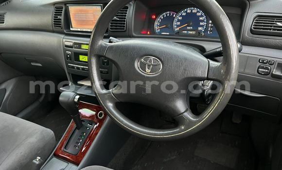Buy Used Toyota Corolla Silver Car in Maputo in Maputo Buy Used Toyota Corolla Silver Car in Maputo in Maputo