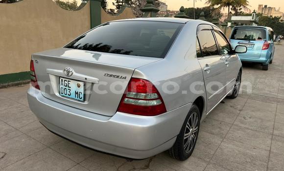 Buy Used Toyota Corolla Silver Car in Maputo in Maputo Buy Used Toyota Corolla Silver Car in Maputo in Maputo