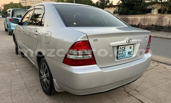 Buy Used Toyota Corolla Silver Car in Maputo in Maputo Buy Used Toyota Corolla Silver Car in Maputo in Maputo