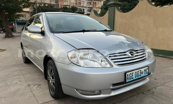 Buy Used Toyota Corolla Silver Car in Maputo in Maputo Buy Used Toyota Corolla Silver Car in Maputo in Maputo