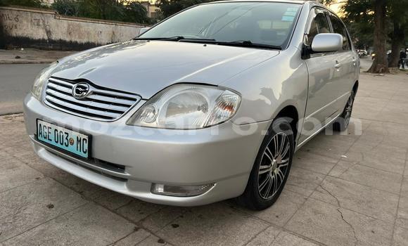 Buy Used Toyota Corolla Silver Car in Maputo in Maputo Buy Used Toyota Corolla Silver Car in Maputo in Maputo