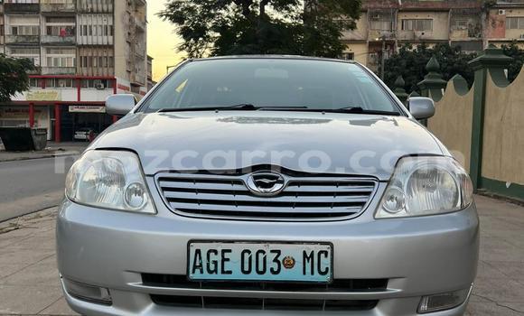 Buy Used Toyota Corolla Silver Car in Maputo in Maputo Buy Used Toyota Corolla Silver Car in Maputo in Maputo
