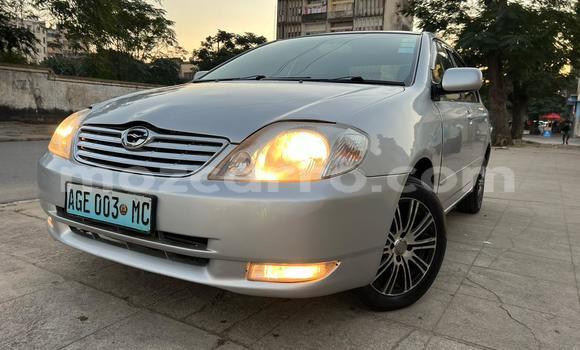 Buy Used Toyota Corolla Silver Car in Maputo in Maputo Buy Used Toyota Corolla Silver Car in Maputo in Maputo