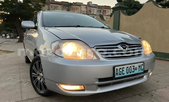 Buy Used Toyota Corolla Silver Car in Maputo in Maputo Buy Used Toyota Corolla Silver Car in Maputo in Maputo