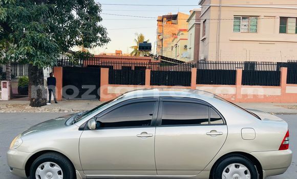 Nunua Ilio tumika Toyota Corolla Fedha Gari ndani ya Maputo nchini Maputo Nunua Ilio tumika Toyota Corolla Fedha Gari ndani ya Maputo nchini Maputo