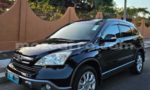 Tenga Tsaru Honda CR-V Nhema Mota in Maputo in Maputo Tenga Tsaru Honda CR-V Nhema Mota in Maputo in Maputo