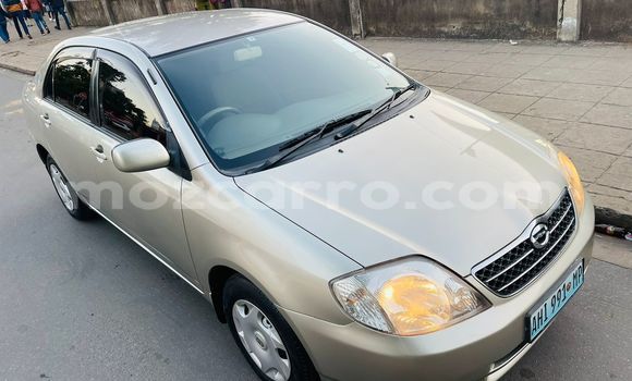 Comprar Usado Toyota Corolla Castanho Carro em Maputo em Maputo Comprar Usado Toyota Corolla Castanho Carro em Maputo em Maputo