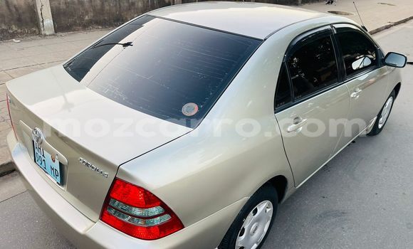 Comprar Usado Toyota Corolla Castanho Carro em Maputo em Maputo Comprar Usado Toyota Corolla Castanho Carro em Maputo em Maputo