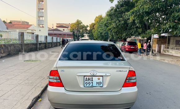 Comprar Usado Toyota Corolla Castanho Carro em Maputo em Maputo Comprar Usado Toyota Corolla Castanho Carro em Maputo em Maputo
