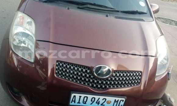Buy Used Toyota Vitz Brown Car in Maputo in Maputo
