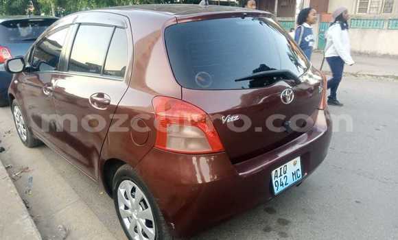 Comprar Usado Toyota Vitz Castanho Carro em Maputo em Maputo Comprar Usado Toyota Vitz Castanho Carro em Maputo em Maputo