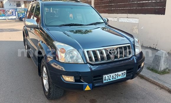 Tenga Tsaru Toyota Land Cruiser Prado Bhuruu Mota in Maputo in Maputo