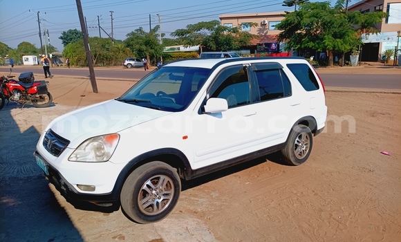 Tenga Tsaru Honda CR-V Chena Mota in Maputo in Maputo