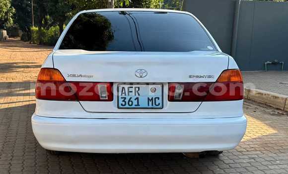 Comprar Usado Toyota Sprinter Branco Carro em Maputo em Maputo Comprar Usado Toyota Sprinter Branco Carro em Maputo em Maputo