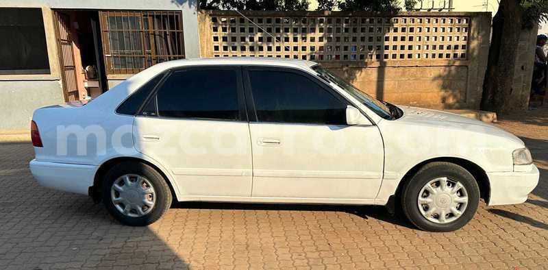 Big with watermark toyota sprinter maputo maputo 25781