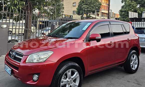 Comprar Usado Toyota RAV4 Vermelho Carro em Balama em Cabo Delgado Comprar Usado Toyota RAV4 Vermelho Carro em Balama em Cabo Delgado