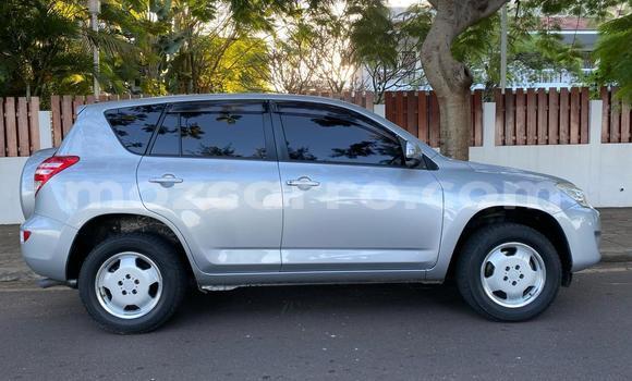 Tenga Tsaru Toyota RAV4 Sirivha Mota in Maputo in Maputo Tenga Tsaru Toyota RAV4 Sirivha Mota in Maputo in Maputo
