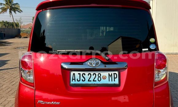 Buy Used Toyota Ractis Red Car in Maputo in Maputo Buy Used Toyota Ractis Red Car in Maputo in Maputo