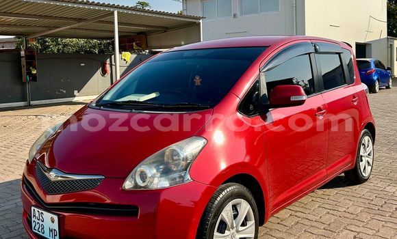 Buy Used Toyota Ractis Red Car in Maputo in Maputo Buy Used Toyota Ractis Red Car in Maputo in Maputo