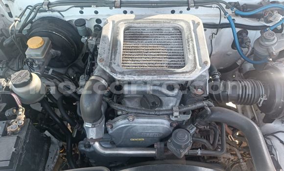 Buy Used Nissan Hardbody White Car in Maputo in Maputo Buy Used Nissan Hardbody White Car in Maputo in Maputo