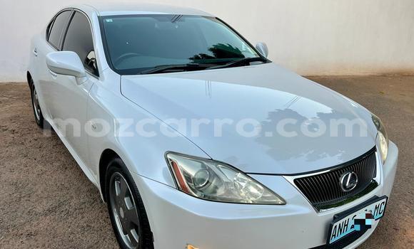 Tenga Tsaru Lexus IS Chena Mota in Maputo in Maputo Tenga Tsaru Lexus IS Chena Mota in Maputo in Maputo