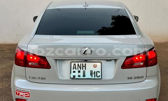 Tenga Tsaru Lexus IS Chena Mota in Maputo in Maputo Tenga Tsaru Lexus IS Chena Mota in Maputo in Maputo