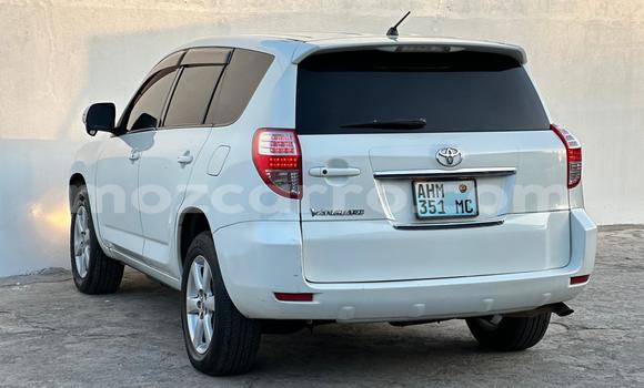 Comprar Usado Toyota Vanguard De outros Carro em Maputo em Maputo Comprar Usado Toyota Vanguard De outros Carro em Maputo em Maputo