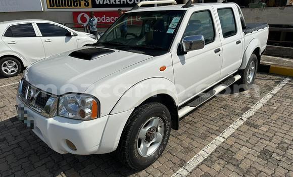 Buy Used Nissan Hardbody White Car in Maputo in Maputo Buy Used Nissan Hardbody White Car in Maputo in Maputo
