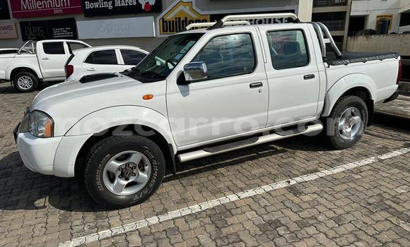 Buy Used Nissan Hardbody White Car in Maputo in Maputo Buy Used Nissan Hardbody White Car in Maputo in Maputo